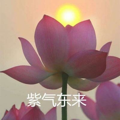 战斗吧勇士手游九游版下载